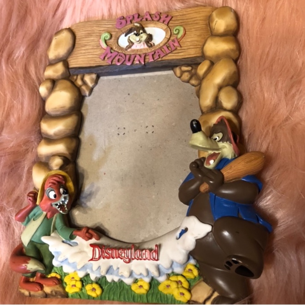 Splash mountain picture frame